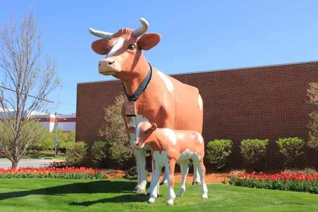 Anderson Erickson Dairy