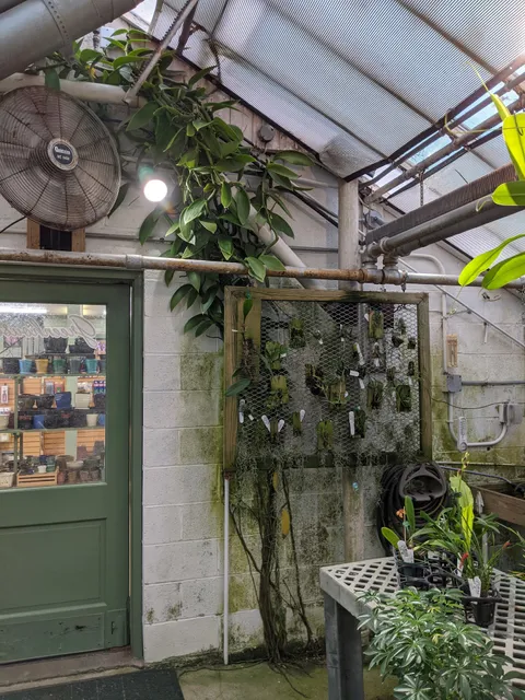 Little Brook Orchids