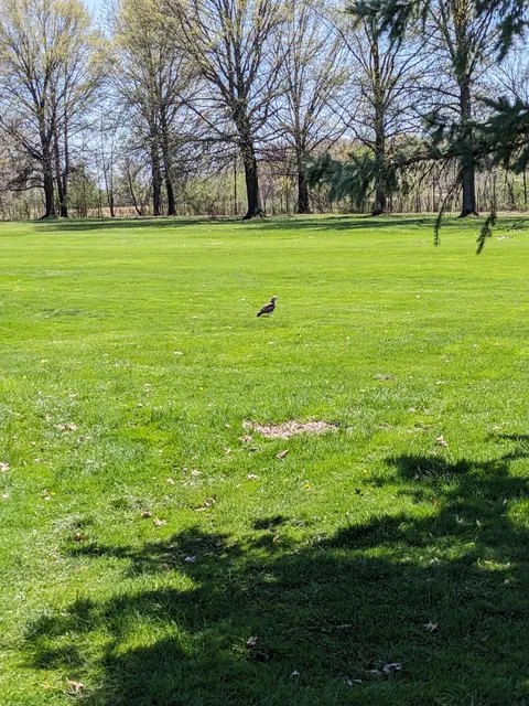 Highland Park Golf Course