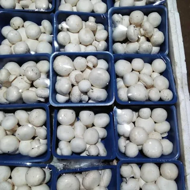 Jayam Food Production