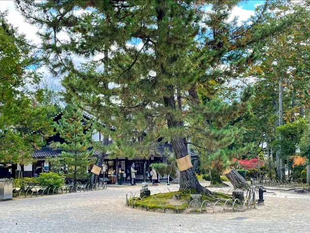 Toshodai-ji Chashitsu (Tea Room, Gift Shop)