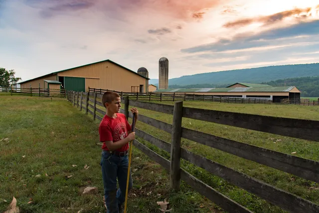 Teets Cattle Company