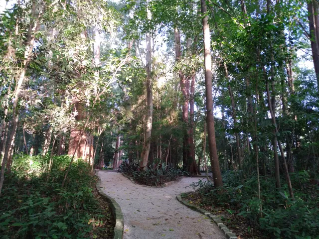 Parque dos Eucaliptos