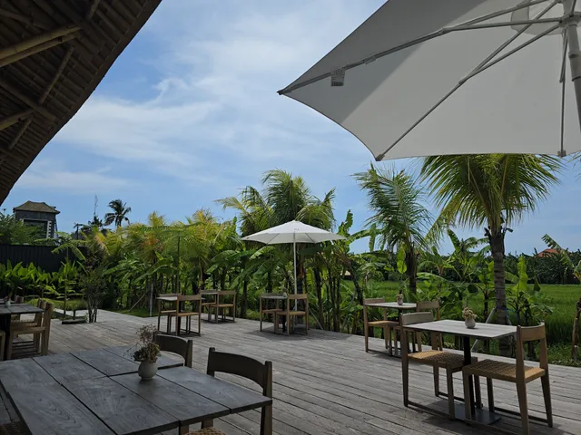 PADDY MARSH/ CHI AT UMA