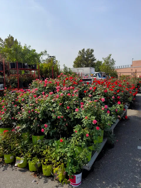 Garden Center at The Home Depot