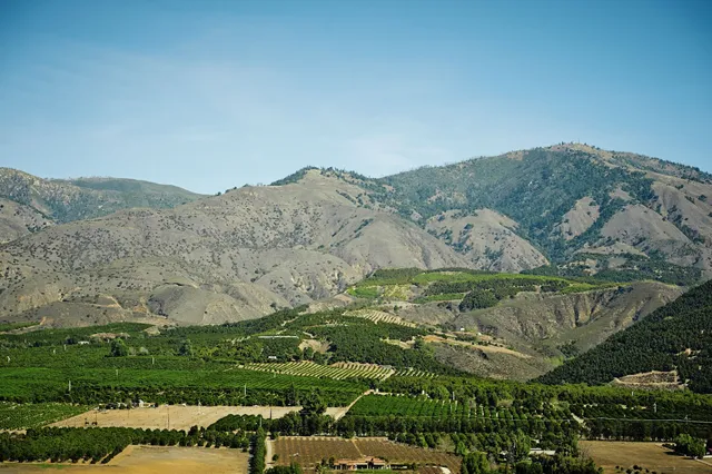 Villa Park Orchards Association # 2