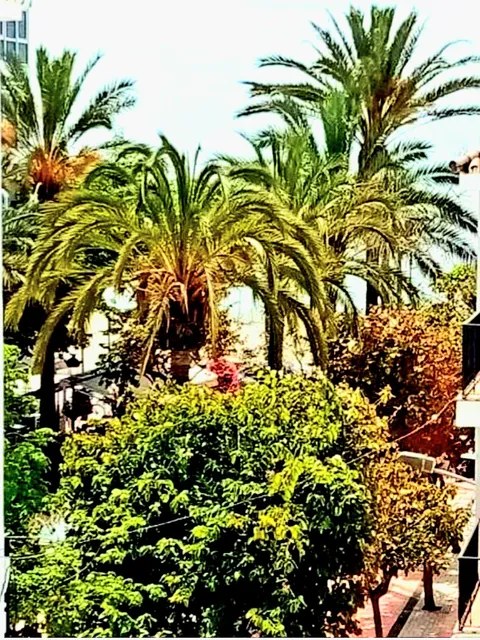 Beach Apartments Old Town