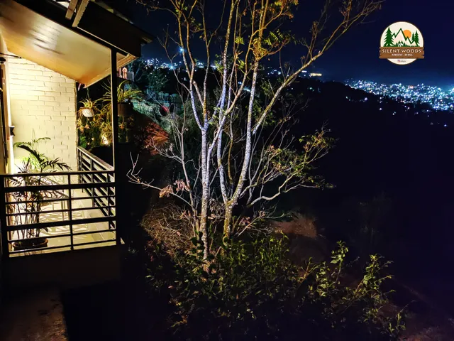 Silentwoods Homestay Shimla
