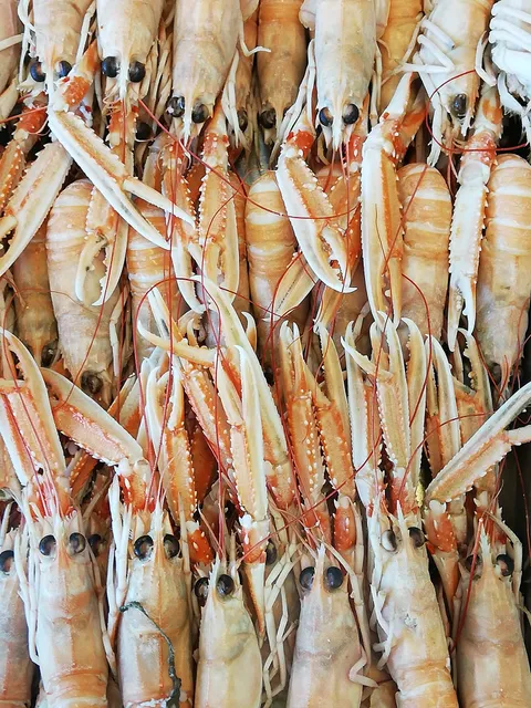 Les viviers de Trégastel