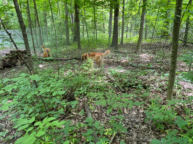 Fido's Forest Dog Park: Appointment and Registration Required