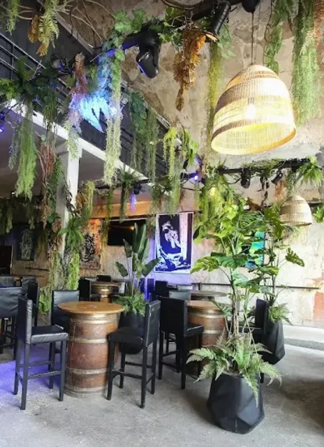 Les voutes Virgo de la Major