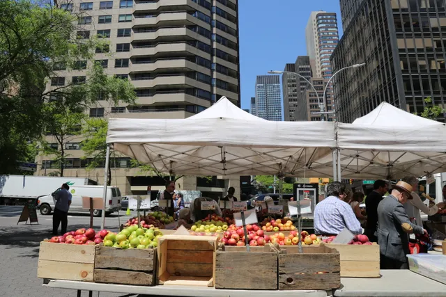 Dag Hammarskjold Plaza Greenmarket