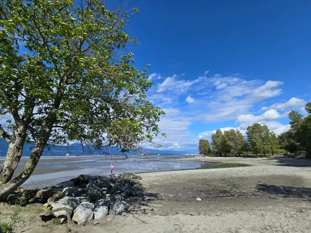 Spanish Banks Viewpoint