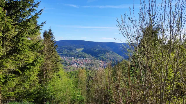 Ferienwohnung „ Ringbergblick“
