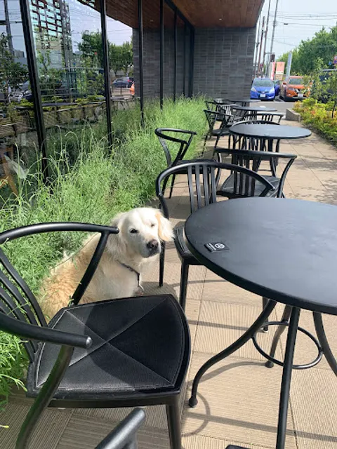 Starbucks Coffee - Kakamigahara Sohara