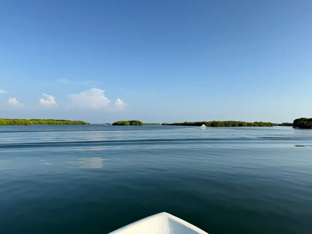 Captain Fernando Negombo Boat Tours