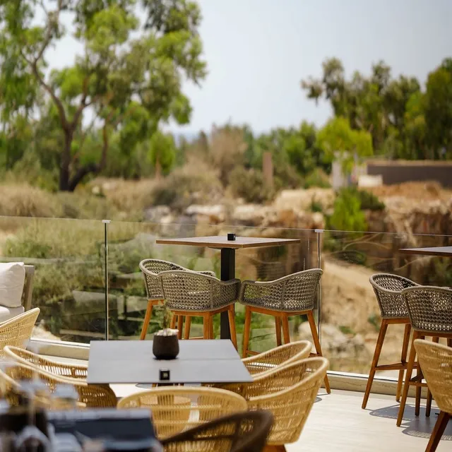 Tetra All Day Dining - Concept