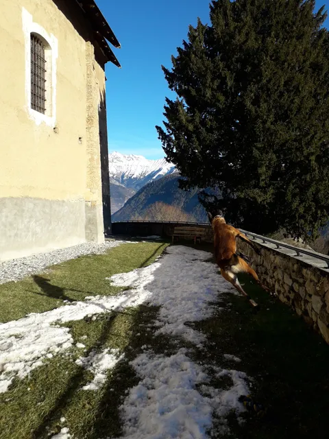 Hôtel Restaurant des Ors