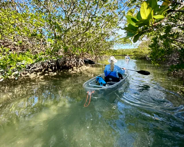 Get Up And Go Kayaking - Sarasota
