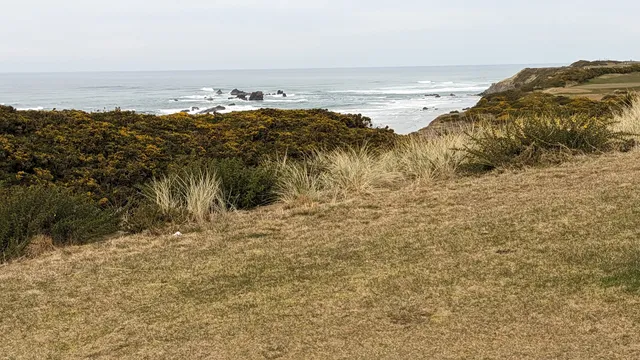 Bandon Dunes Golf Resort - Old Macdonald Golf Course