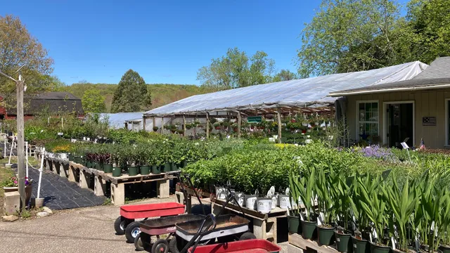 Baltic Greenhouse Nursery