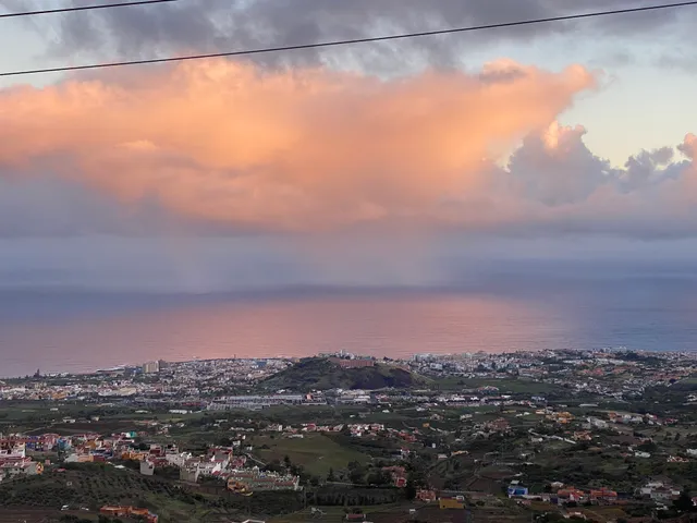 Bodegas Suertes del Marques