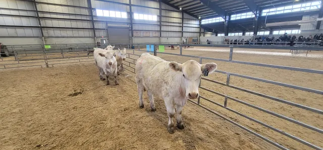 Alphin-Stuart Livestock Arena