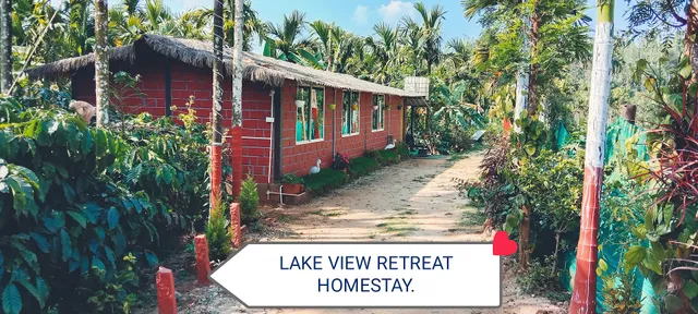 Lake View Retreat Homestay