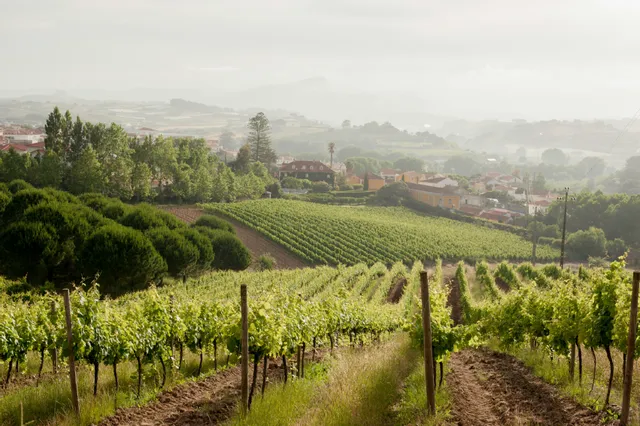 Quinta de Sant'Ana do Gradil