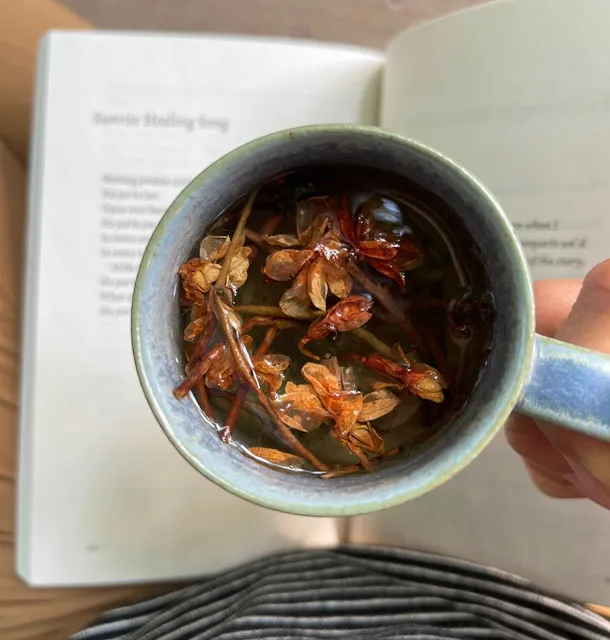 Sun Moon Tea & Botanicals