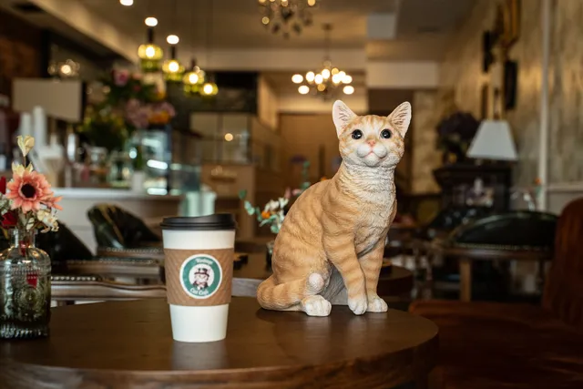 Vintage Cat Cafe Toronto