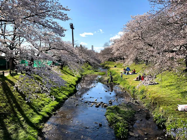 Negawa Greenery Road