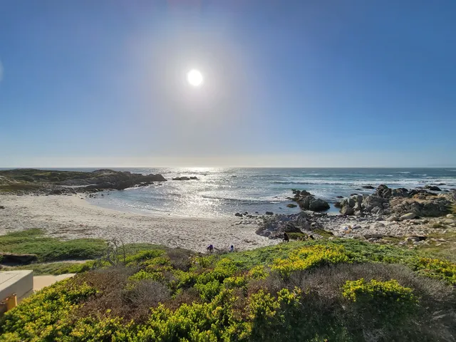 Asilomar Beach View