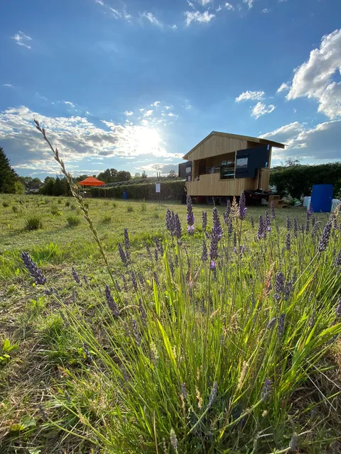 Oak Tree Lavender Farm