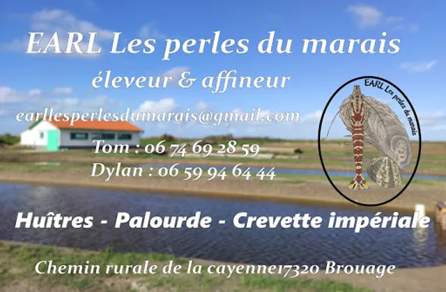 EARL Les perles du marais