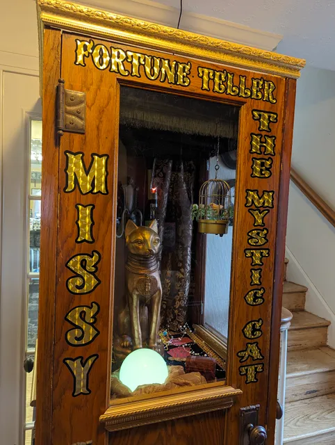 Black Cat Books & Oddities