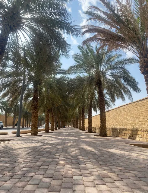 Wadi Hanifah Park
