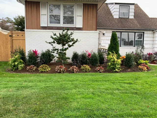 Palmares Landscaping