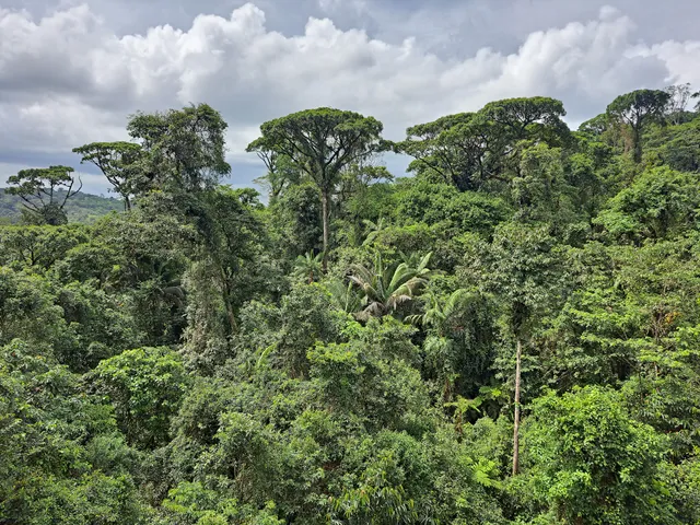 Aerial Tram Rainforest Adventures Braulio Carrillo NP