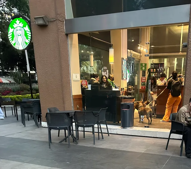 Starbucks Torre Mexicana