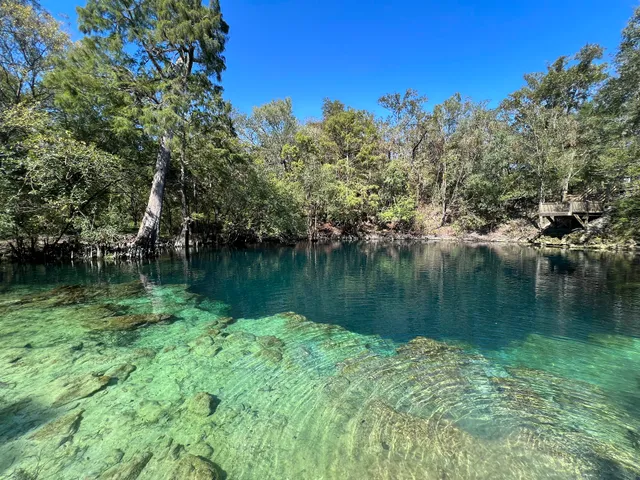 Royal Springs Suwannee River Wilderness Trail