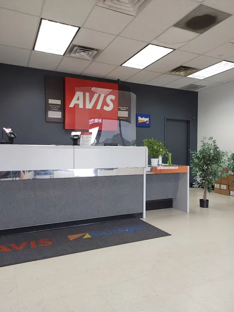 Avis Car Rental