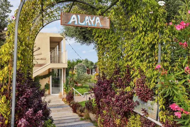 ALAYA-POLEG-אלאיה פולג