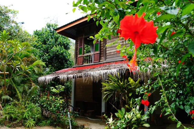 BUTTERFLY FOREST GUEST HOUSE