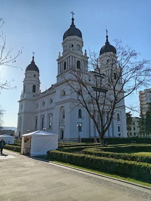 Cozy Apartments and Flats DP Rezidential Palas