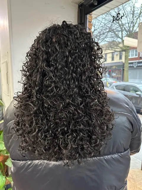 Roots Radicals Salon