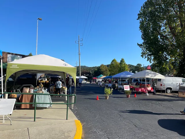 CLAYTON FARMER'S MARKET