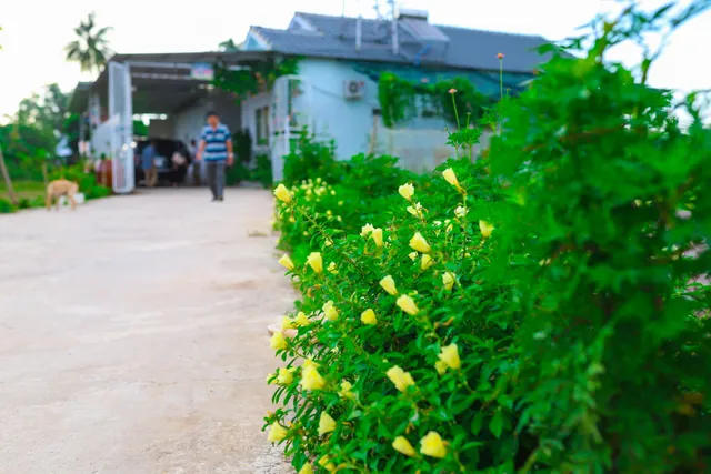 Nga Thịnh Guest House