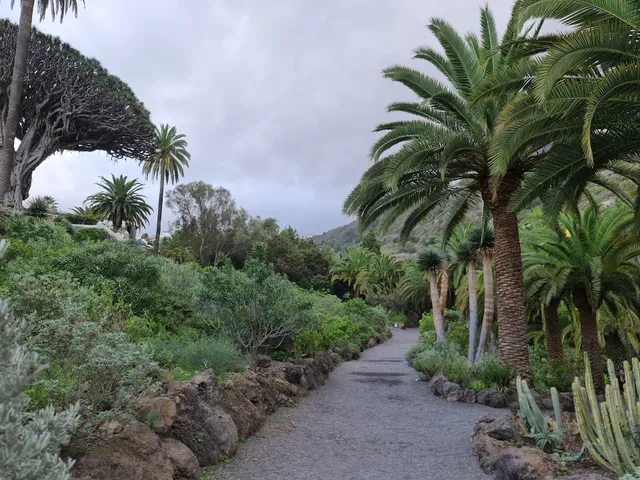 Drago - Entrada Park