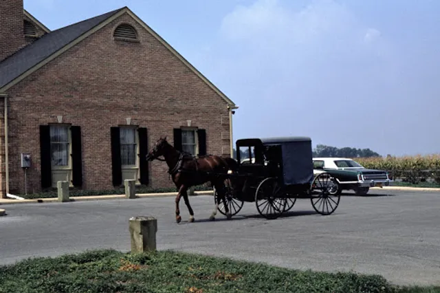 A is for Amish Buggy Rides